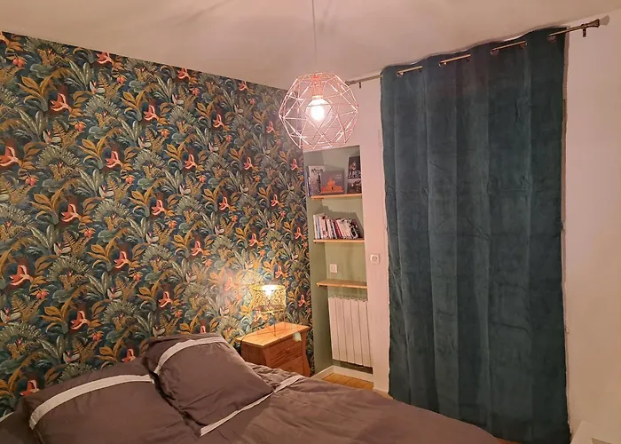 Hyper-centre A Pied Cosy דירה *